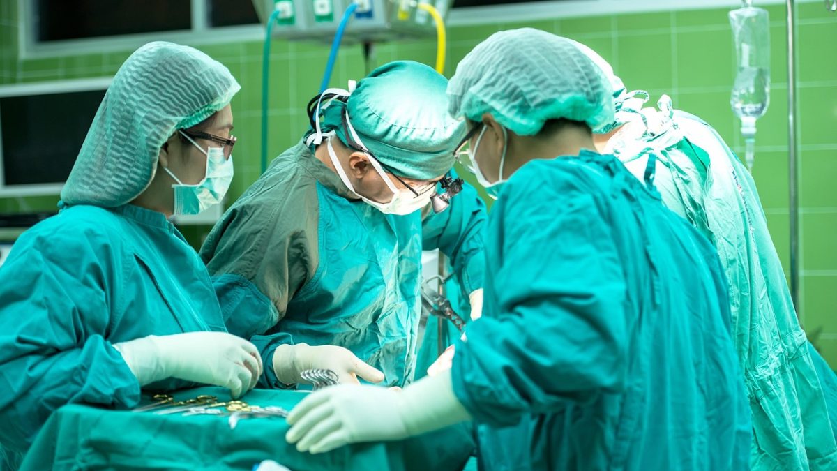Synektik bije rekordy: zysk skacze o ponad 50%, a portfel zamówień pęka w szwach