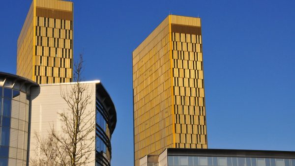 Polacy w ogonie Europy. Oto ile lat będziemy pracować