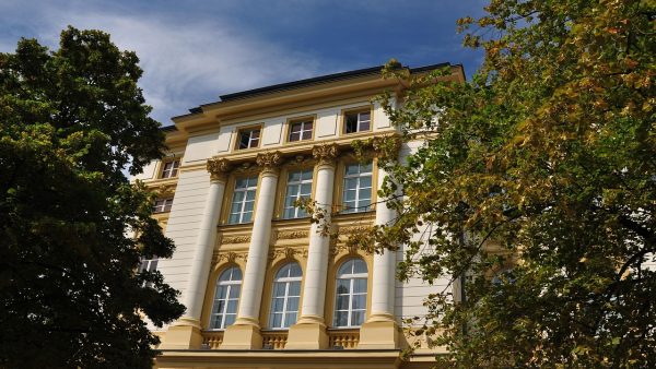 Najniższa emerytura w Polsce 2026. Tyle dokładnie dostaniesz na rękę od marca